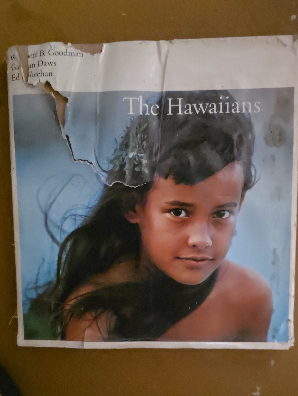 The Hawaiians Vintage Photo Book Cover - Brown & Blue